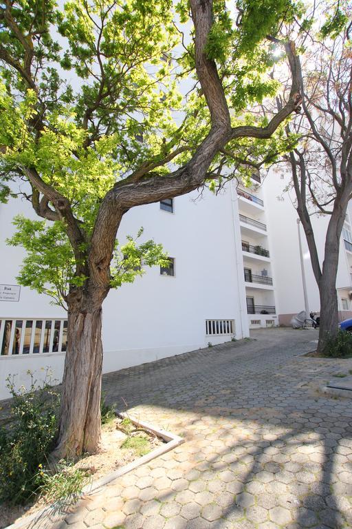 Casa Belavista - Baía Lagos Exterior foto